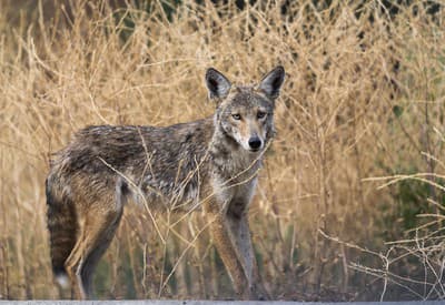 Aj tebe je tak teplo? 