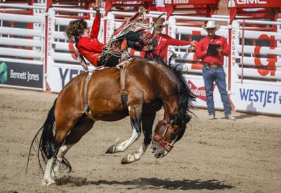 Pondelkové nakopnutie