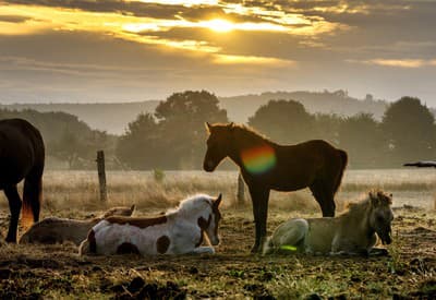 Musíme si oddýchnuť