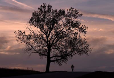 Zmráka sa, stmieva sa