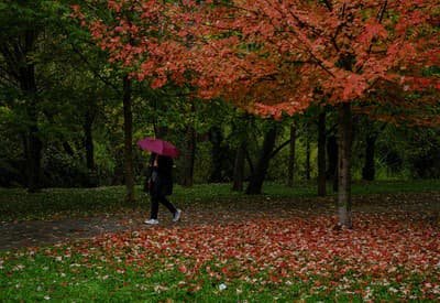 Farebná prechádzka parkom