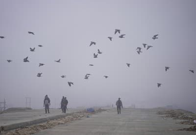 Ranná hmlistá prechádzka