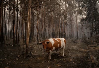 Kam som sa to zatúlal?