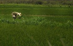 Čo si zasejem, to si aj zožnem