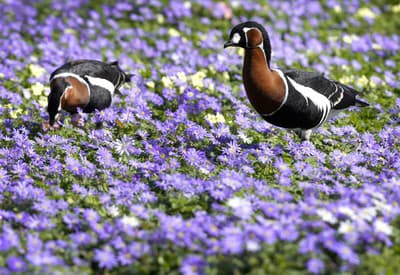 Už nech začne poriadna jar!