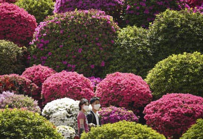 Snáď čoskoro aj u nás:)