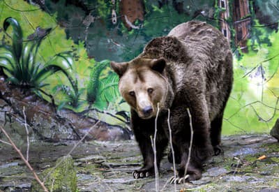 To už musím vstávať? 