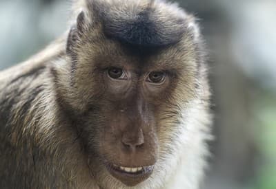 To už je zase pondelok?