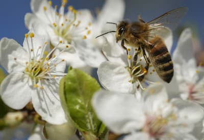 Nerušiť! Tu sa pracuje.