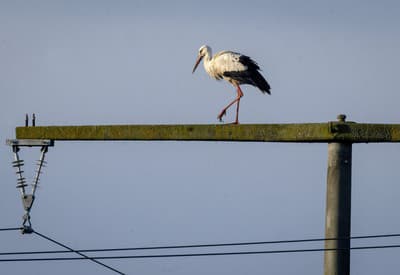 Tu si dám menšiu prestávku