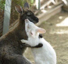 Mami, som naozaj tvoj?