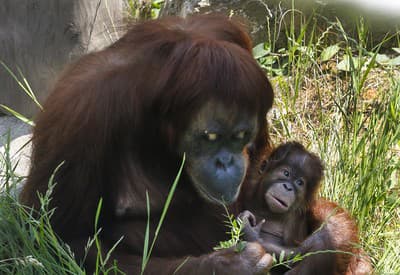 Víkendová pohodička