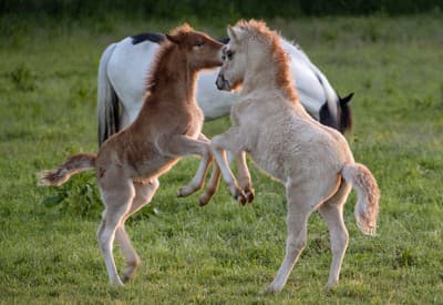 Tanec nie je nikdy zlý nápad!