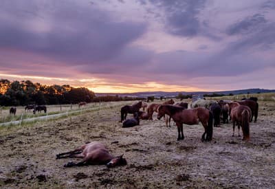 Niekto tu ešte spí