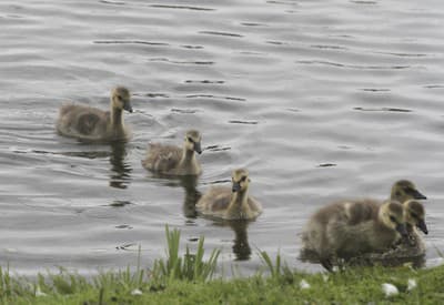 Ktorá cesta je správna?