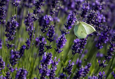 Trochu si oddýchnem...