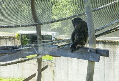Nedeľná pohodička
