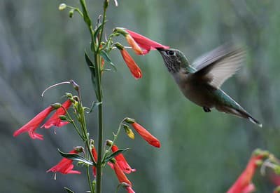 Krásne nedelné ránko!