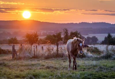 Zlatý východ slnka