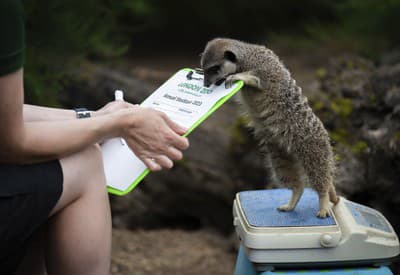 Ukáž, pomôžem ti!