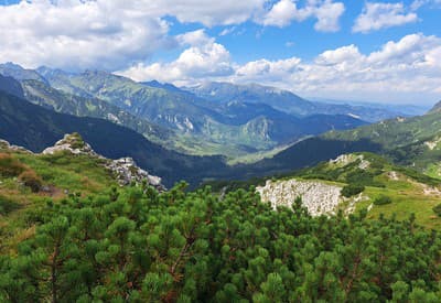 Pozdravujem vás, lesy, hory, ...