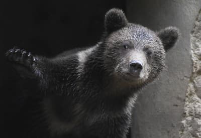 Kuk do nového dňa!