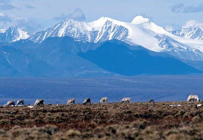 Obrázok ako z pohľadnice