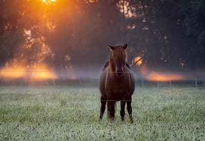 Krásny slnečný deň!