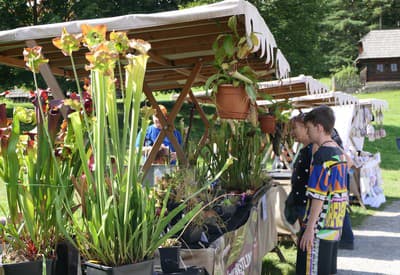 Tradície a príroda