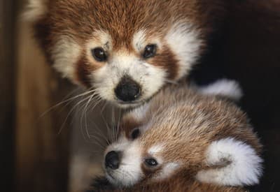 Spolu je nám lepšie