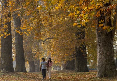 Prechádzka pod zlatom
