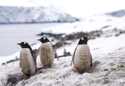 Nás si nevšímajte!