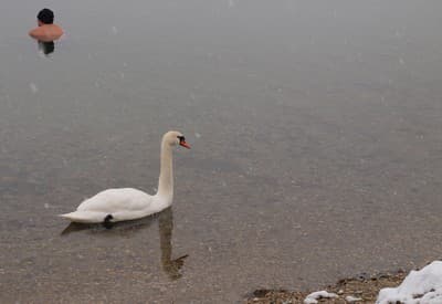 Zaplávaš si so mnou?