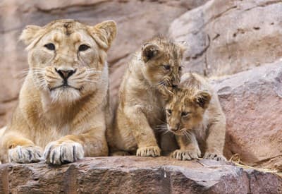 Nedeľná pohodička