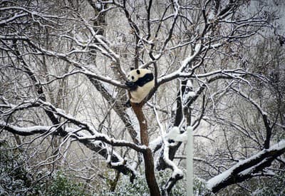 Krásne zimné ráno prajem!