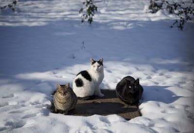 Trošku sa ohrejeme!