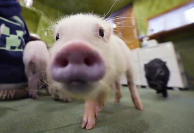 Rád vás spoznávam!