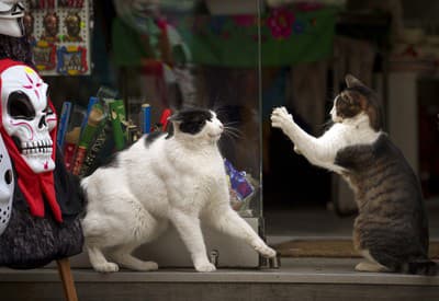 Dnešný deň je môj!