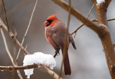 Krásne ráno všetkým