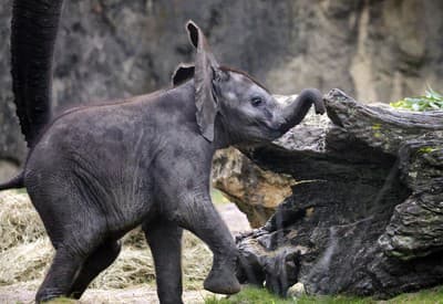 Čo to tu dnes mám?