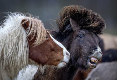 Mám medzi zubami niečo?