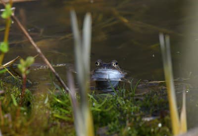 Kto sa to tam schováva?