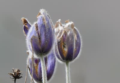 Jar je v plnom prúde!