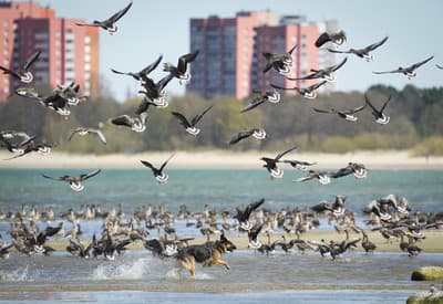 Poďte sa so mnou hrať