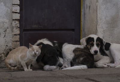 My chceme ešte spať