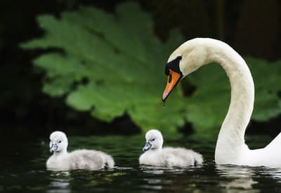 S maminkou je najlepšie!