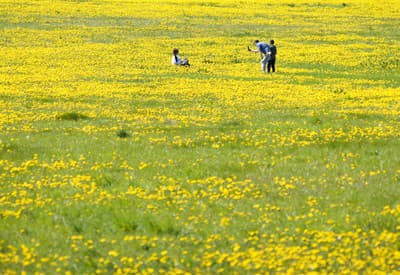 Ideálne prostredie na novú fotku