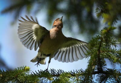 Letím do nového dňa!