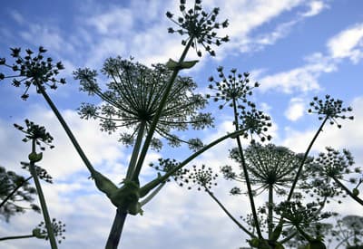 Prajeme vám dobré ráno!