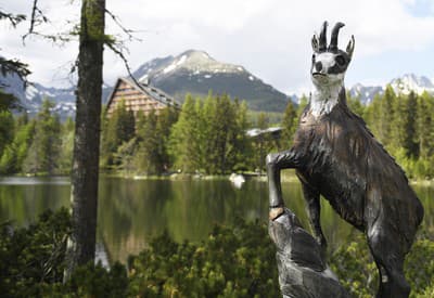 Stály návštevník 